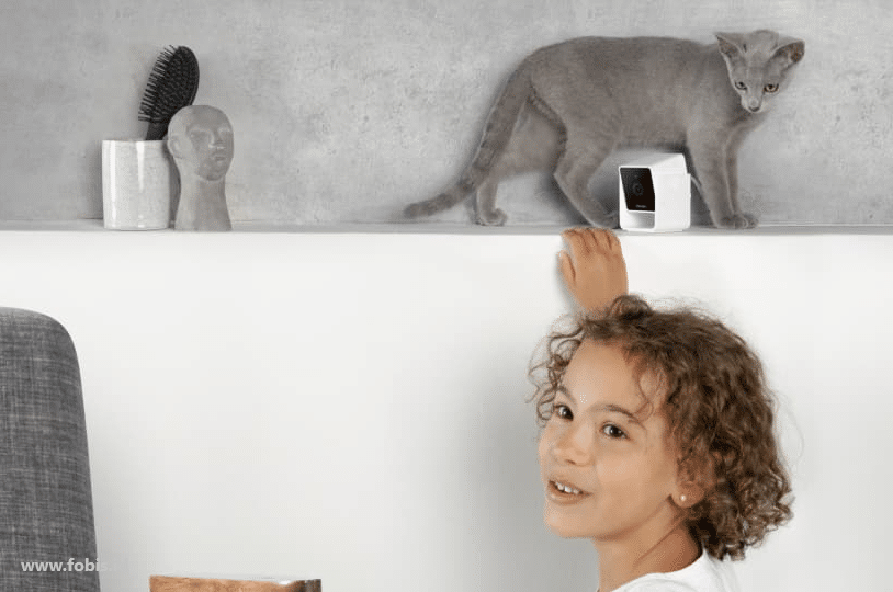 5 Gadget Untuk Binatang Peliharaan, Ada Toilet Otomatis Sampai Gadget Pemberi Makan Otomatis